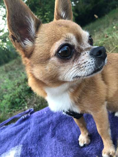 Zeigt eure Portraits-Beitrag-Bild