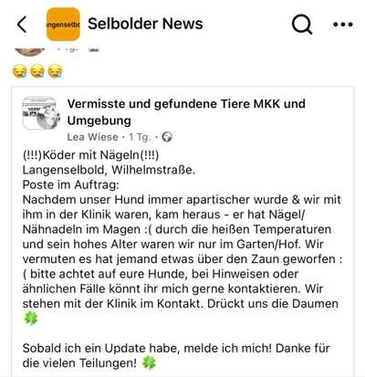 Giftköder-Nägel über den Zaun geworfen-Bild