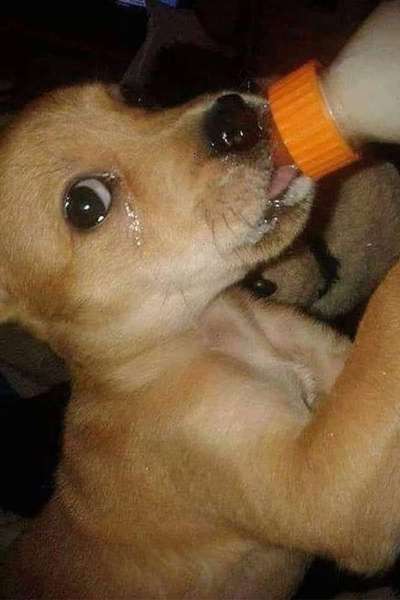 Lieblingsbild-Beitrag-Bild