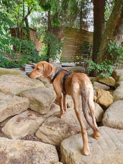 57. Handy Foto Challenge - klettern-Beitrag-Bild