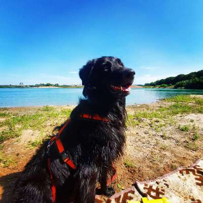 Dogorama Photo Challenge - Tierischer Urlaub-Beitrag-Bild