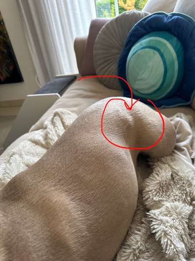 Bluterguss?-Beitrag-Bild