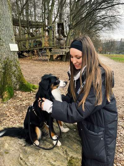 Hundetreffen-Gemeinsame Spaziergänge-Bild