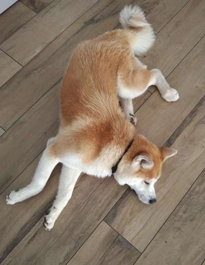 Fotochallange 84-Beitrag-Bild