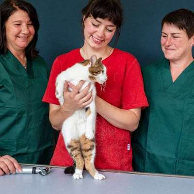 Tierärzte-Constanze Henzelmann-Bild