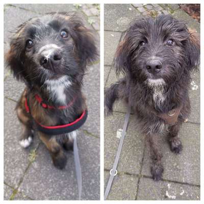 Vorher.... Nachher-Beitrag-Bild