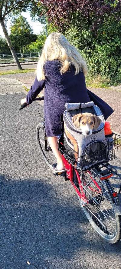 Die Dogorama Wochen Challenge-Beitrag-Bild