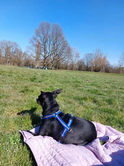 118. Fotochallange-Beitrag-Bild