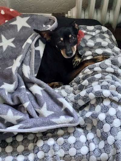 13. Farben-Fotochallenge "Grau"-Beitrag-Bild