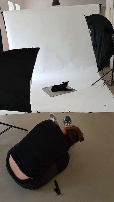 14. Farbenfoto-Challenge "Weiss"-Beitrag-Bild