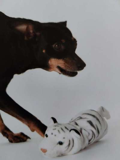 Fotochallenge Nr.122-Beitrag-Bild