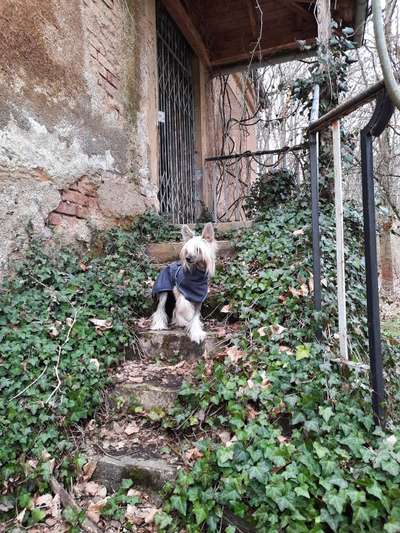 Nackisuche-Beitrag-Bild