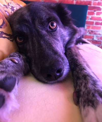 Fotochallange 84-Beitrag-Bild