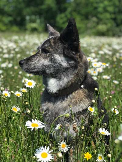 Fotochallenge 78

Es grünt und blüht-Beitrag-Bild