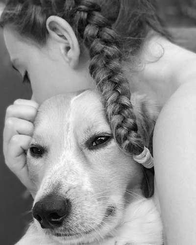 Lieblingsbild-Beitrag-Bild