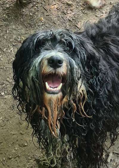 Fotochallange Nr. 57     PORTRÄT.   Beendet!!!!!!!!-Beitrag-Bild