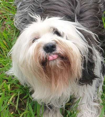 Fotochallange Nr. 57     PORTRÄT.   Beendet!!!!!!!!-Beitrag-Bild