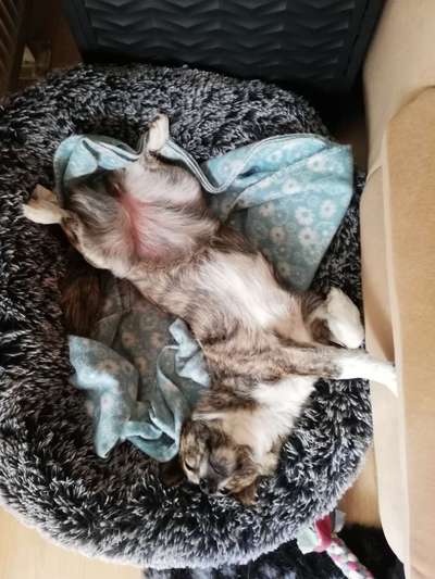 FOTO-Challenge  NR. 91: Die pure Entspannung-Beitrag-Bild