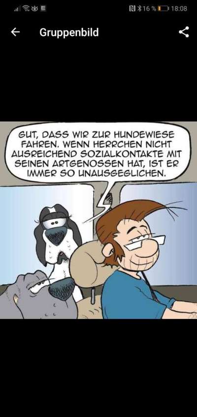 Hunde Memes-Beitrag-Bild