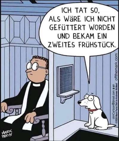 Hunde Memes-Beitrag-Bild