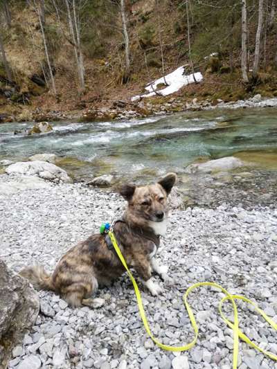 Fotochallenge Nr.100 Urlaubsimpressionen-Beitrag-Bild