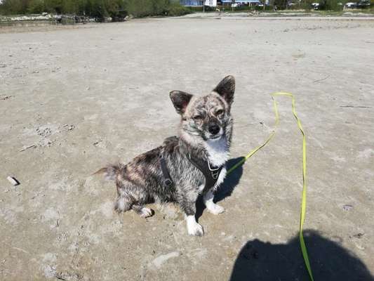 Zeigt eure Portraits-Beitrag-Bild