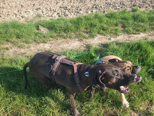 "Die eingefangene Magie des Augenblicks"-Beitrag-Bild