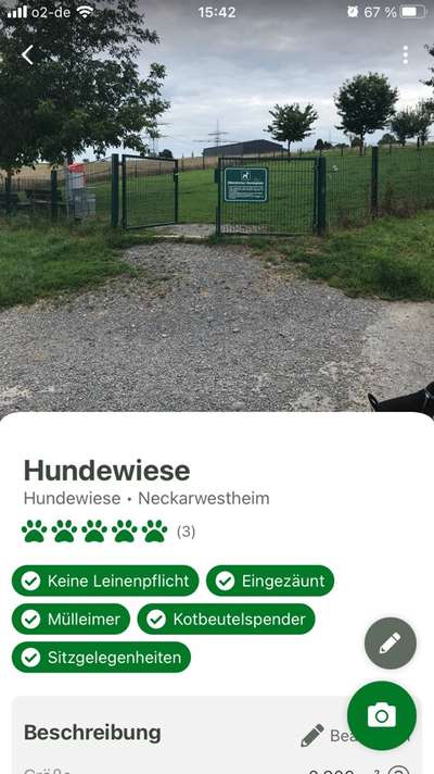 Hundewiese gesucht-Beitrag-Bild