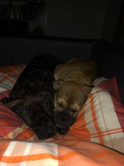 Möchte er uns damit etwas sagen?-Beitrag-Bild