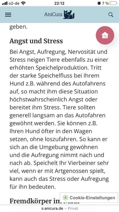 Schaum an der unteren Schnauze-Beitrag-Bild