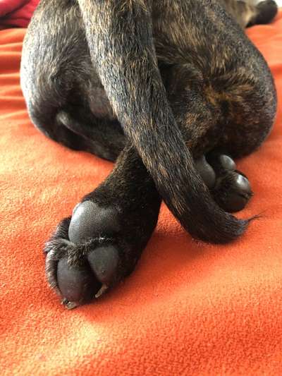 Blick fürs Detail!-Beitrag-Bild