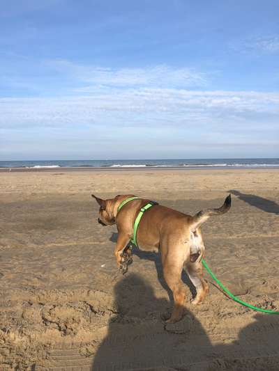 Fotochallenge Nr.100 Urlaubsimpressionen-Beitrag-Bild