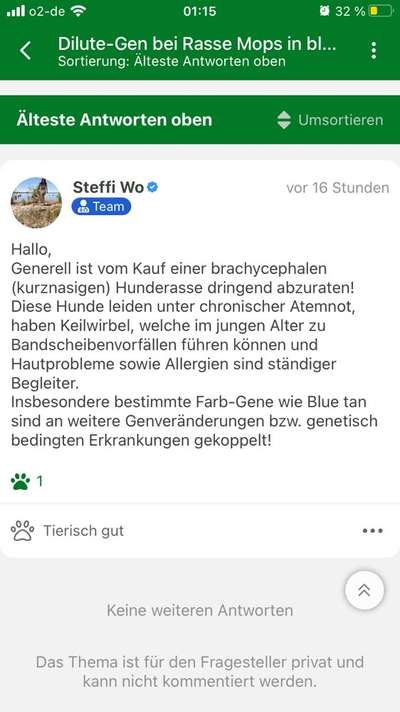 Brachycephale Hunderassen-Beitrag-Bild