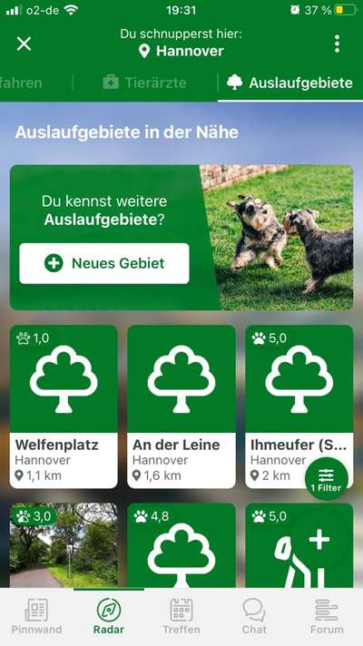 Eingezäunte Auslaufflächen in Hannover-Beitrag-Bild