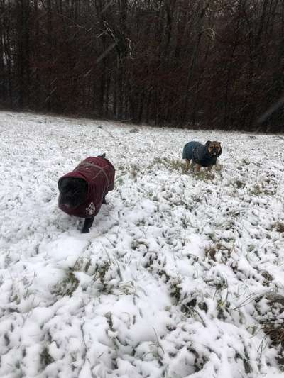 Fotochallenge 61 ~ Schnee-Beitrag-Bild