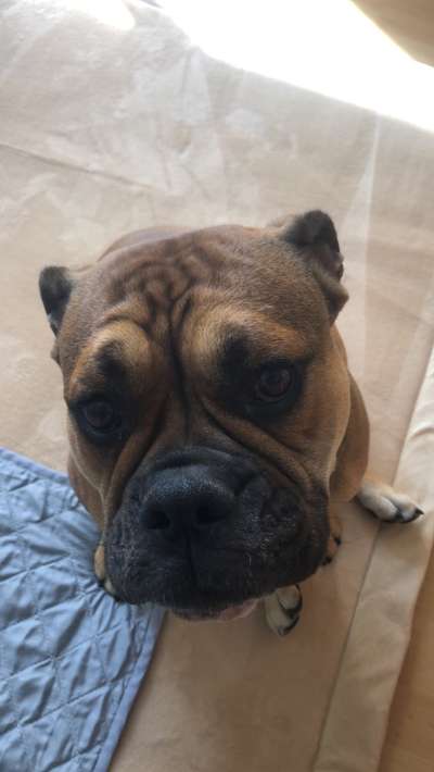 Fotochallange 84-Beitrag-Bild