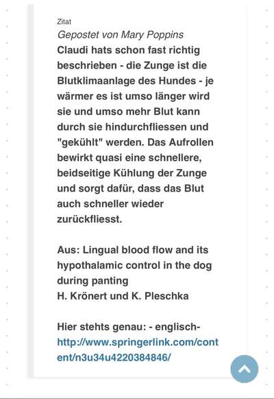 Brachycephale Hunderassen-Beitrag-Bild