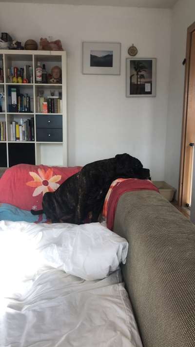 Möchte er uns damit etwas sagen?-Beitrag-Bild