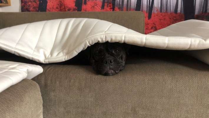 4. Lustiger Schlafplatz-Beitrag-Bild