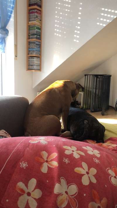 Möchte er uns damit etwas sagen?-Beitrag-Bild