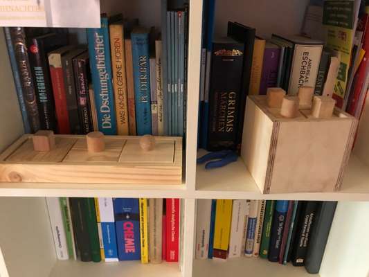 Indoor Beschäftigung-Beitrag-Bild