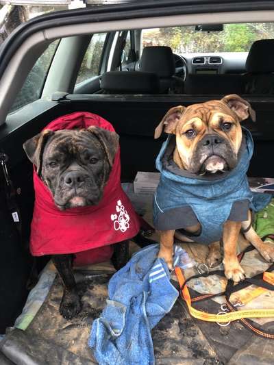 Süße Winteroutfits 😍-Beitrag-Bild