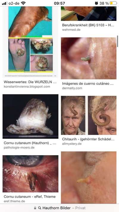 Was ist das ???-Beitrag-Bild