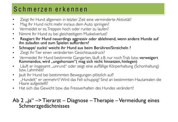 Guideline: Wann sollte ich zum Tierarzt gehen-Beitrag-Bild