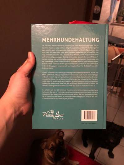 Mehrhundhaltung-Beitrag-Bild
