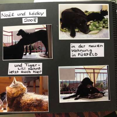 Erfolgsgeschichten gesucht-Beitrag-Bild