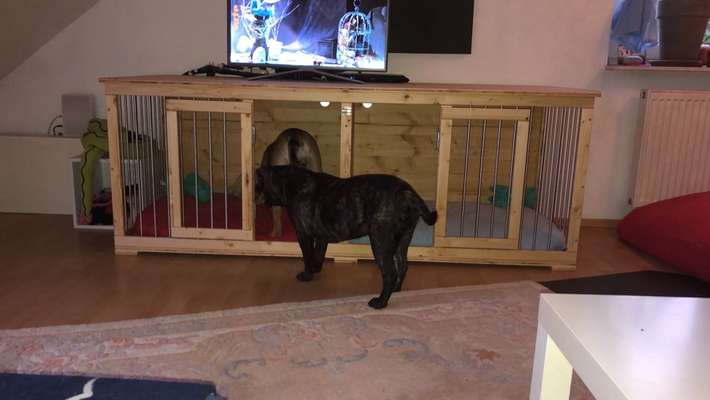 Möbel zur Hundebox umbauen-Beitrag-Bild