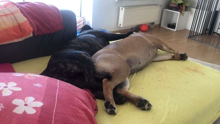 Möchte er uns damit etwas sagen?-Beitrag-Bild