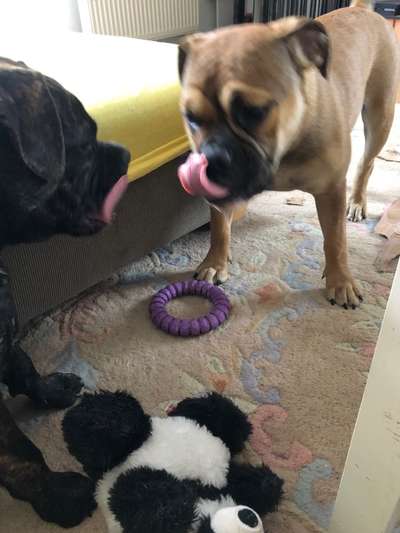 Un...scharf Bilder-Beitrag-Bild