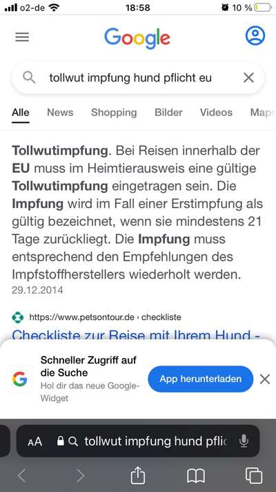 Tollwut Impfung Ja oder Nein ?-Beitrag-Bild